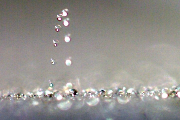 A water droplet jumps and returns to a horizontal surface