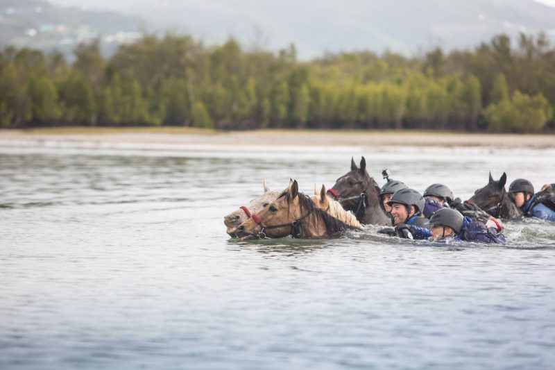 Bartnick and a group of riders swim their horses across a large channel. 