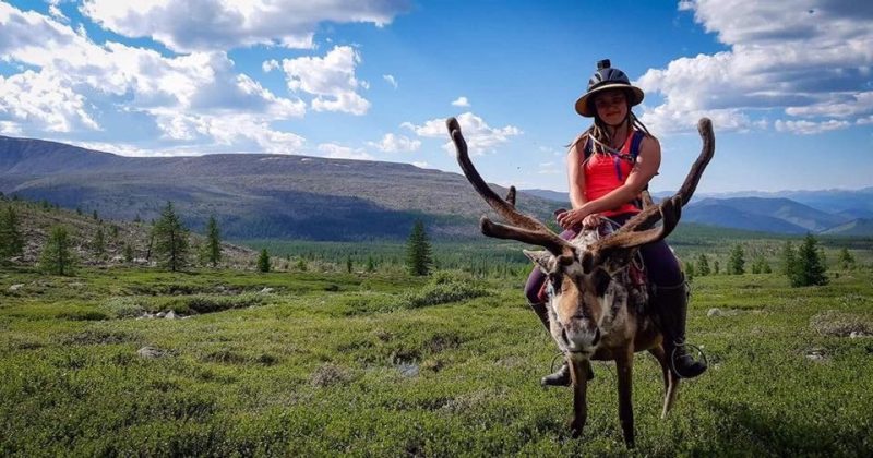 Bartnick rides the Tsaatan tribe's prized bull reindeer up the mountain to collect juniper. 