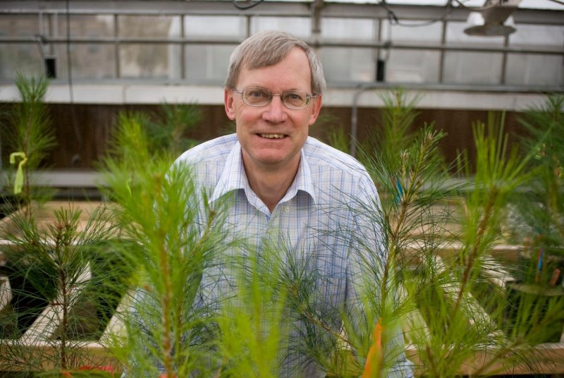 Thomas Fox in a greenhouse in front of a box of pine seedlings
