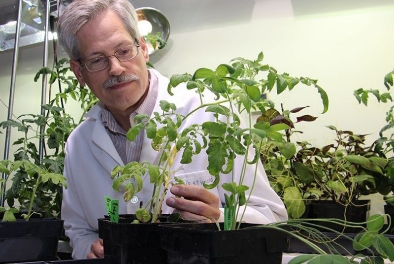 Jim Westwood with plant