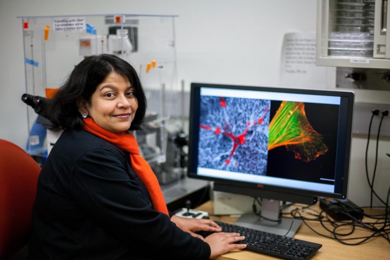 A researcher poses for a photo in front of a computer with a display that is showing a microscopic, cellular environment.