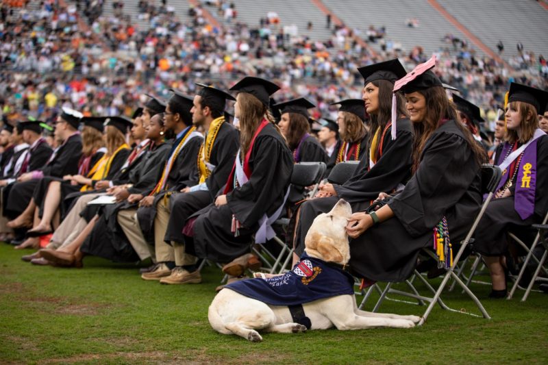 Graduate pets Growley