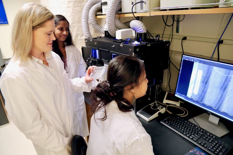 Caroline Jones (left), assistant professor the Department of Biological Sciences in the College of Science studies sepsis. Udaya Sree Datla (back), Ph.D. student in Translational Biology, Medicine, and Health, watches as Brittany Boribong (front), Ph.D. candidate in Genetics, Bioinformatics, and Computational Biology, focuses the microscope on her microfluidic competitive chemotaxis-chip.