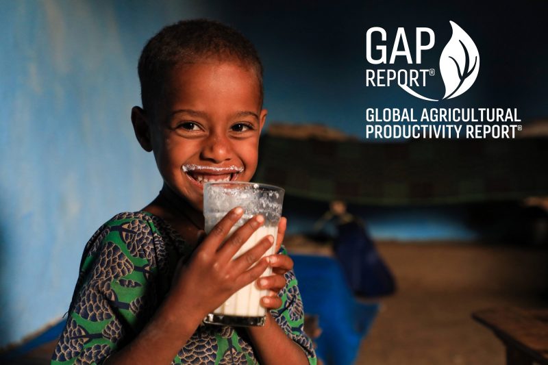 The 2019 GAP Report examines the pivotal role of agricultural productivity – increasing crop and livestock production using existing or fewer inputs – in achieving global goals for environmental sustainability, economic development, and improved nutrition.