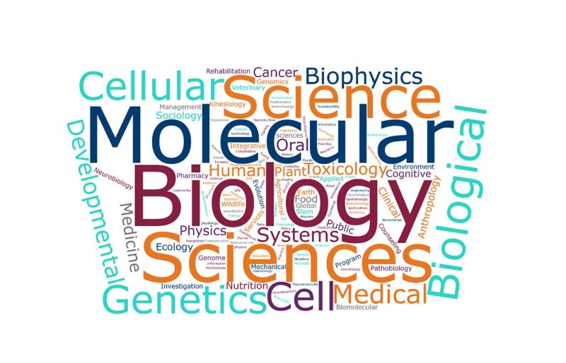 Multicolored word cloud consisting of words associated with life science programs
