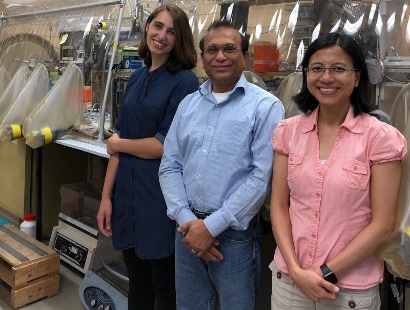 Mary Frazier (left), a former microbiology undergraduate student, Mukhopadhyay (center), and Dwi Susanti (right), a former research scientist in the researcher’s lab, succeeded in deleting a resistance gene from the M. jannaschii genome.