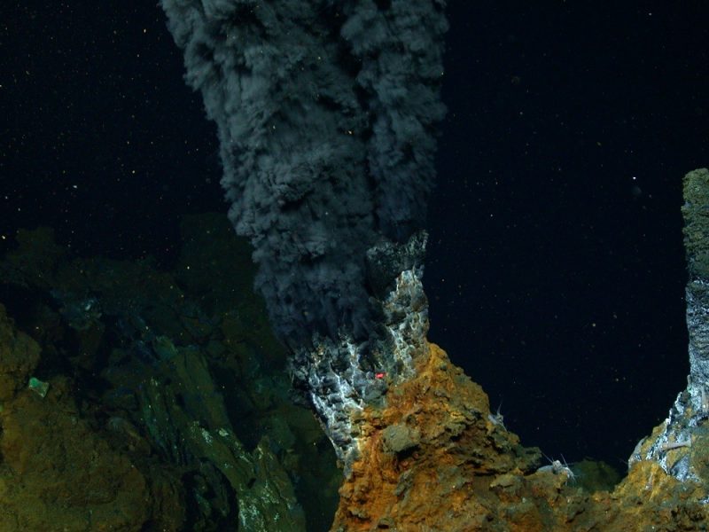 Deep sea vents are home to Methanocaldococcus jannaschii. The organism grows in the absence of light and oxygen. The environmental conditions it faces, including toxic compounds and scorching temperatures, are similar to those that existed billions of years ago. Photo courtesy of Chris German/WHOI/NSF, NASA/ROV Jason 2012, © Woods Hole Oceanographic Institution