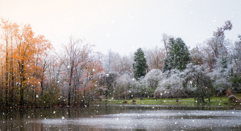 Snow falls on the Duck Pond