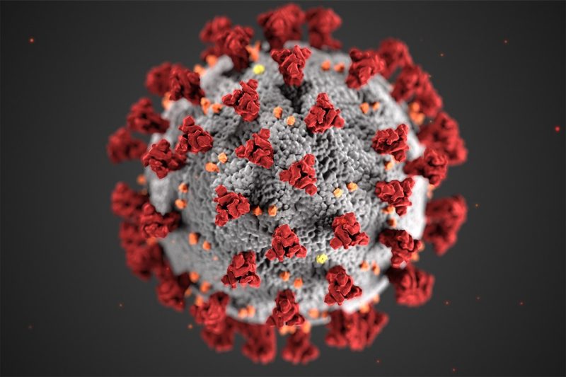 Illustration of a coronavirus. Courtesy of the Centers for Disease Control and Prevention.