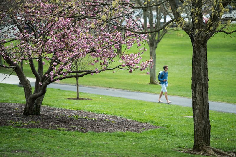 A student crosses the Drillfield in April 2019. 
