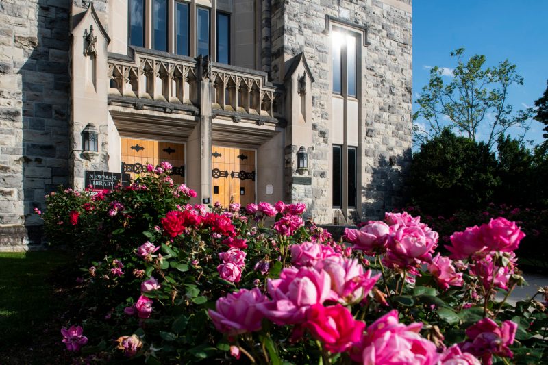 Newman Library surrounded by pink flowers