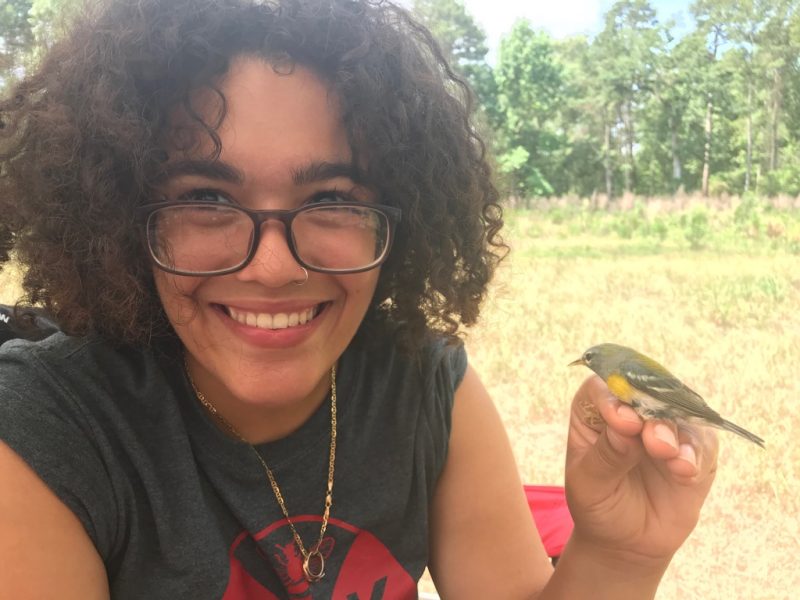 Krisangel Lopez holds a female northern parula (Setophaga americana) for her master’s field work in Caddo Lake, Texas. Photo courtesy of Krisangel Lopez.