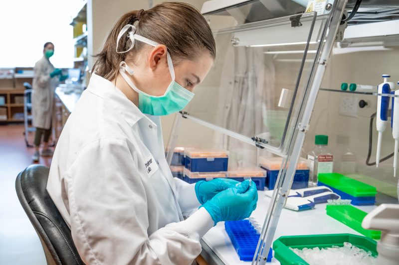 Researcher analyzing COVID-19 samples at Fralin Biomedical Research Institute