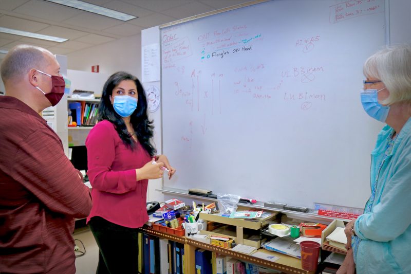 James Biedler (left), a research scientist in Tu’s lab; Azadeh Aryan (middle), a research scientist in Tu’s lab and the first author on the paper; and Maria Sharakhova (right), an assistant professor of entomology, discuss genetics in front of a dry erase board. Photo courtesy of Alex Crookshanks for Virginia Tech.
