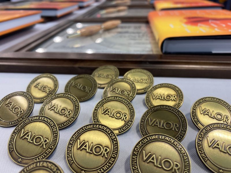 Lapel pins and certificates to commemorate VALOR program graduation.