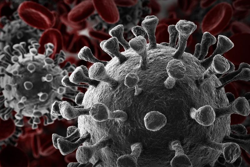 An image of the coronavirus. Image courtesy of creativeneko / Adobe Stock.