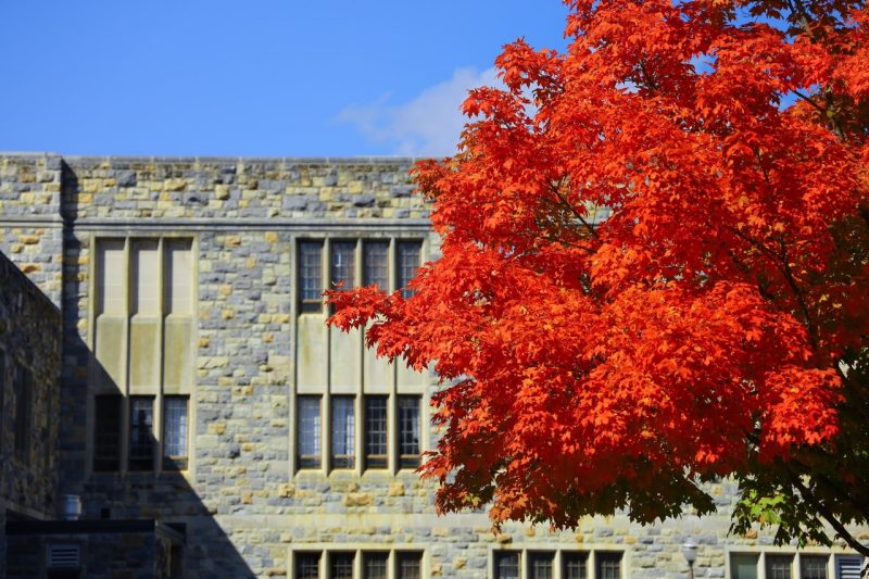 Fall color on Blacksburg campus