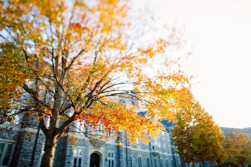 A building on campus is seen behind a tree with yellow and orange leaves