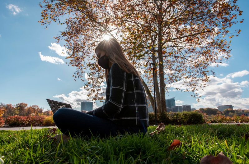person with laptop sits in grass