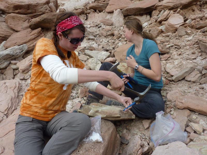 Michelle Stocker, an assistant professor of vertebrate paleontology in Virginia Tech’s Department of Geosciences in the College of Science, and Rachel Wallace, a former graduate student at the University of Texas at Austin, are seen excavating the caiman fossil from sandstone in January of 2011. Photo courtesy of Chris Kirk.