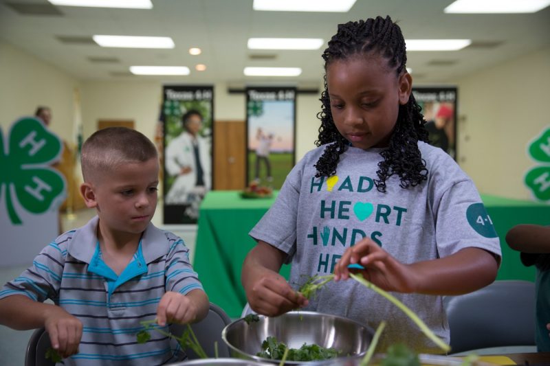 Nearly 18,000 youth take part in 4-H’s overnight programming, and for many, this starts them down the path of learning by doing. Photo from 2018.