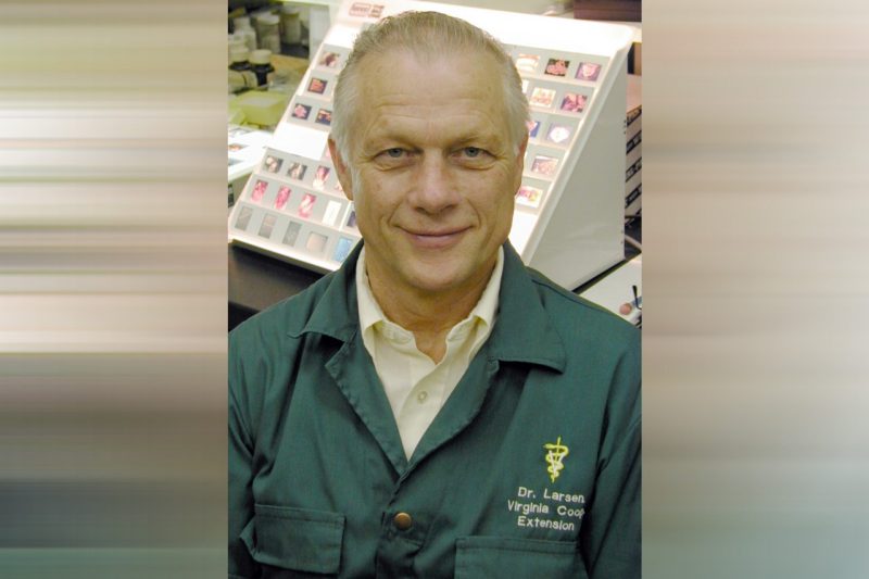 VMCVM: Calvert T. Larsen, associate professor emeritus of large animal clinical sciences 