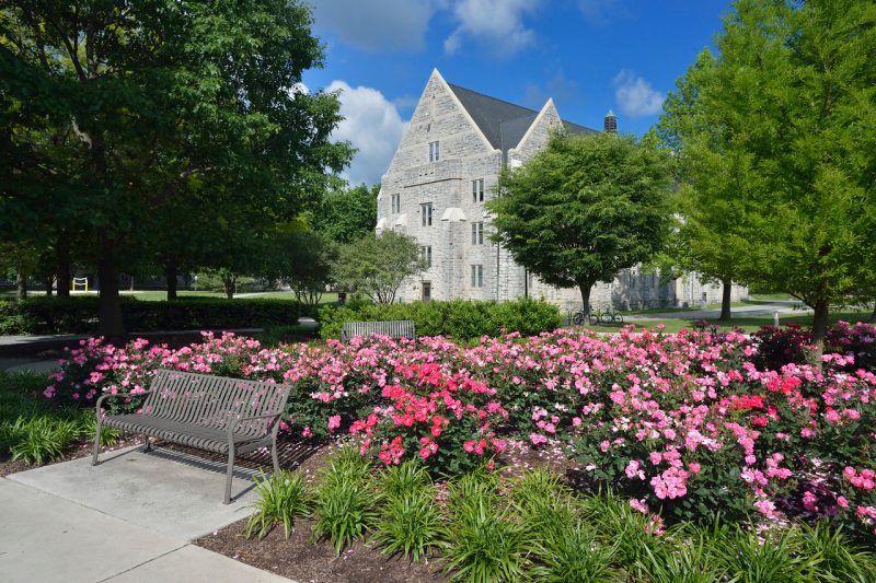 Campus building with a bench and pink flowers in the foreground