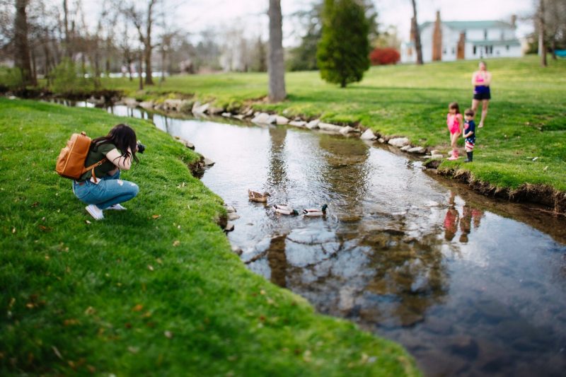 A family shooting photos of ducks in a stream