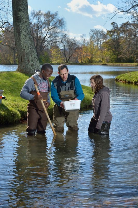Students standing in a stream, reviewing samples with a faculty member