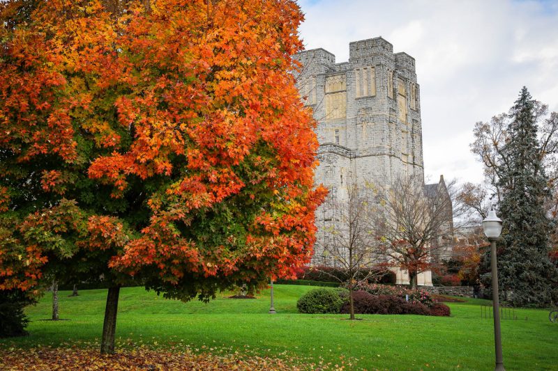 Burruss Hall is seen behind a tree with orange leaves