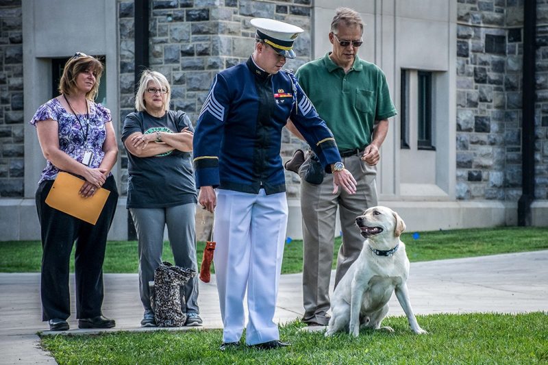 Then cadet Zack Sever, at center, gives a command to Growley II. Behind them, from, left, are veterinarian Lara Bartl of the Virginia-Maryland College of Veterinary Medicine and breeders Sybille and Mark Nelson.