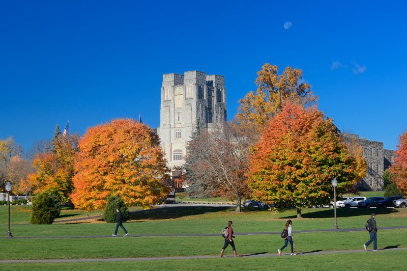 image of  fall colors around the Drillfield at Virginia Tech 