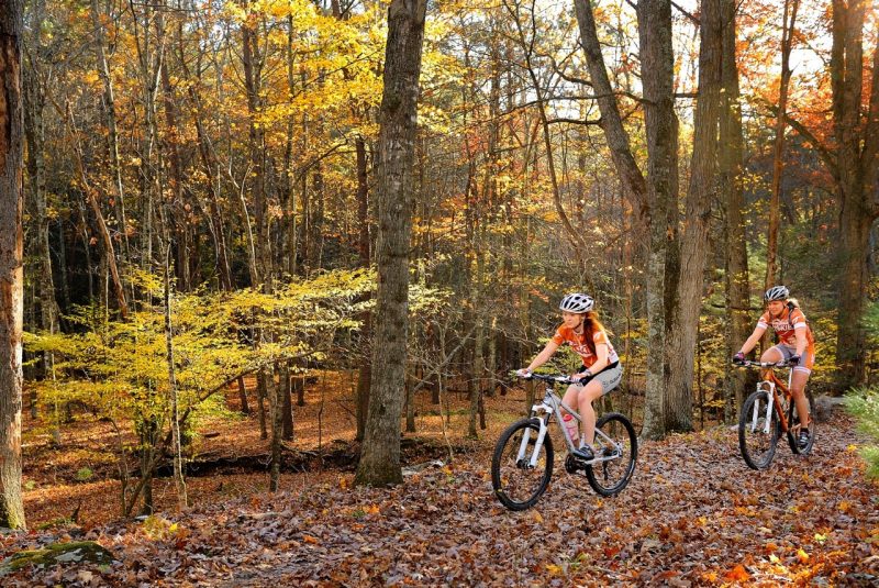 Two cyclists ride through woods with fall colors.