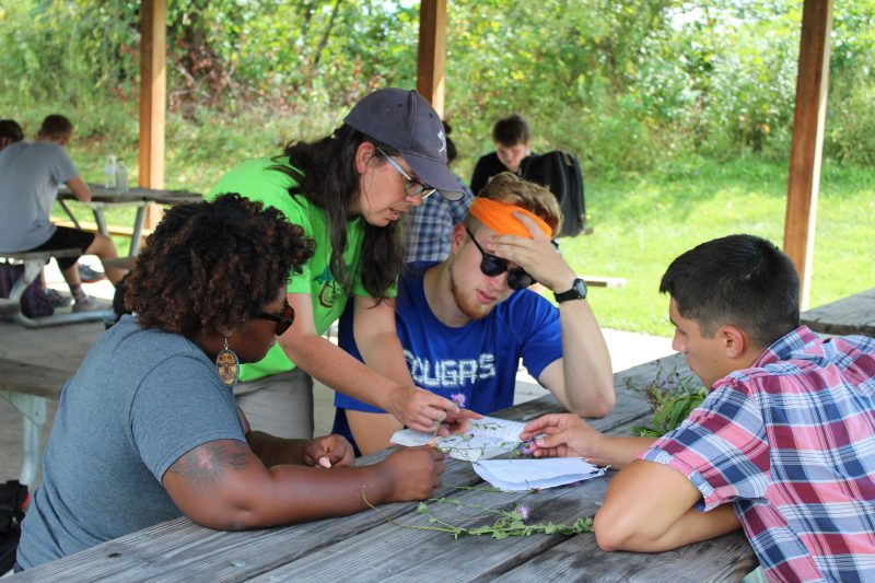 Carolyn Copenheaver, associate professor, works with students on wildflower identification during a field course. This photo was taken before COVID-19 mask mandates were in place. 