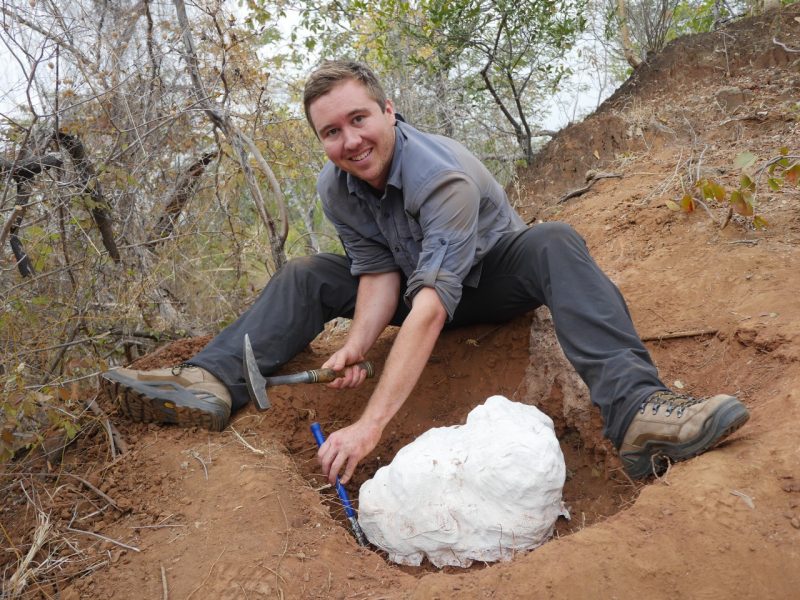 A young man digs around a fossil that has been incased in plaster. He smiles as he looks at the camera.