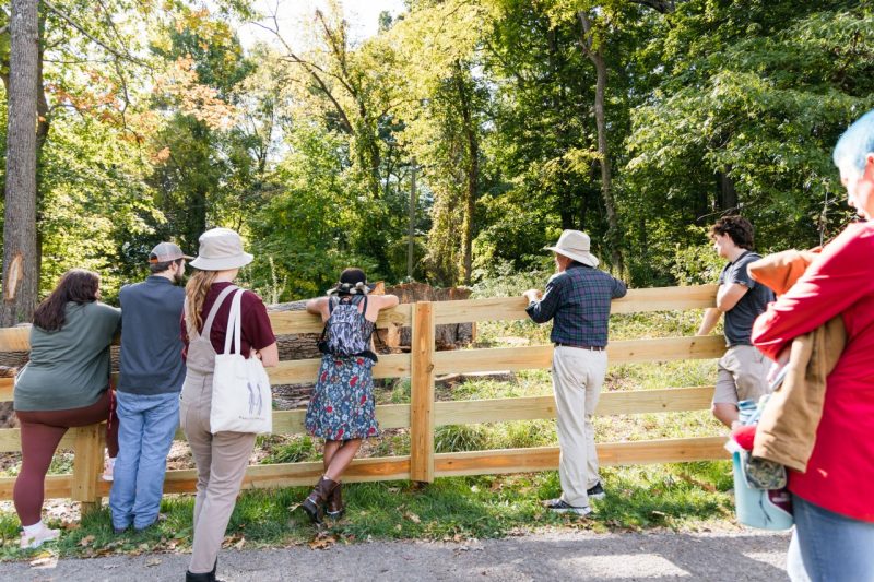 Mae Hey and emeritus professor of forestry Jeff Kirwan and students look at trees over the fence at Stadium Woods.