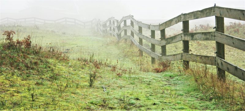 Photo of a wooden fence receding in a misty green field